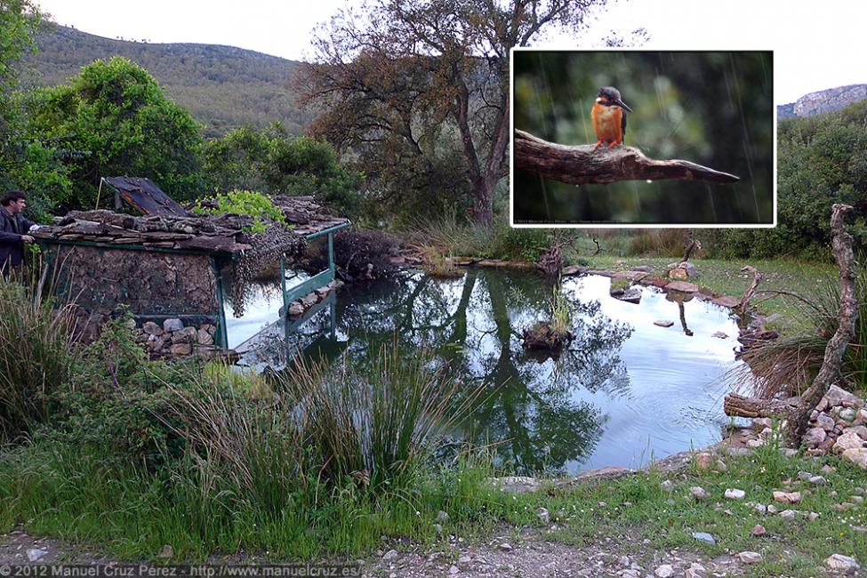 Parque Nacional de Monfragüe.